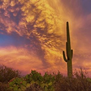 Meet your Posher, Larisa